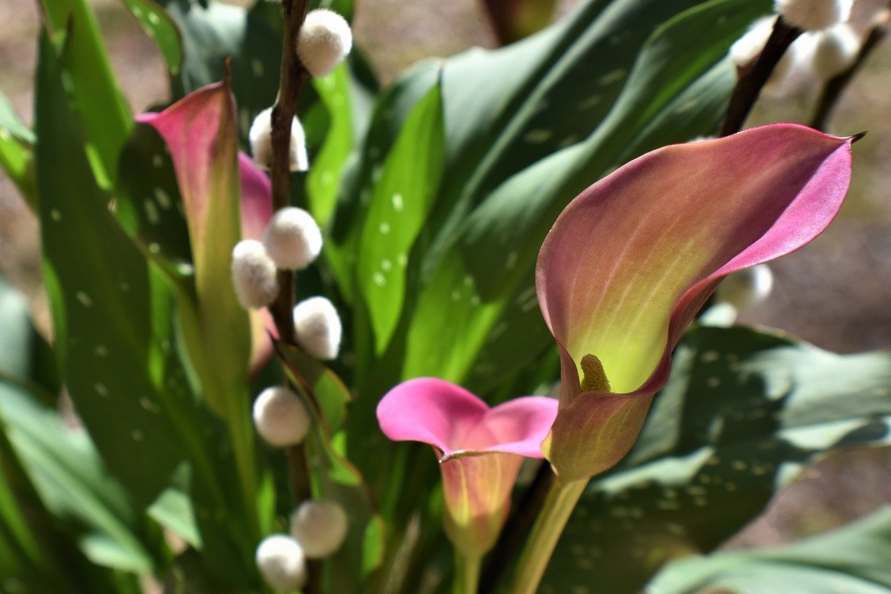 How to Arrange a Stunningly Simple Flower Bouquet